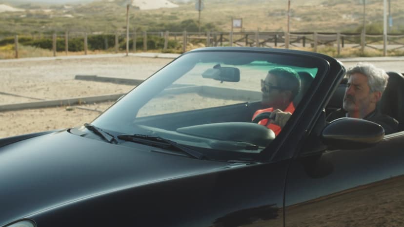 Couple driving in a car